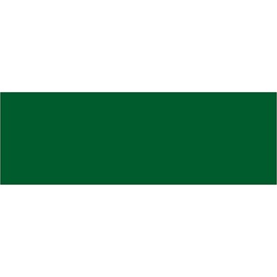 Tape Logic Inventory Rectangle Labels 3" x 9" Green 250/Roll DL637D