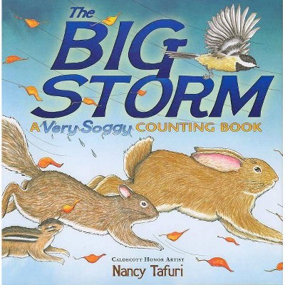 The Big Storm - by  Nancy Tafuri (Hardcover)