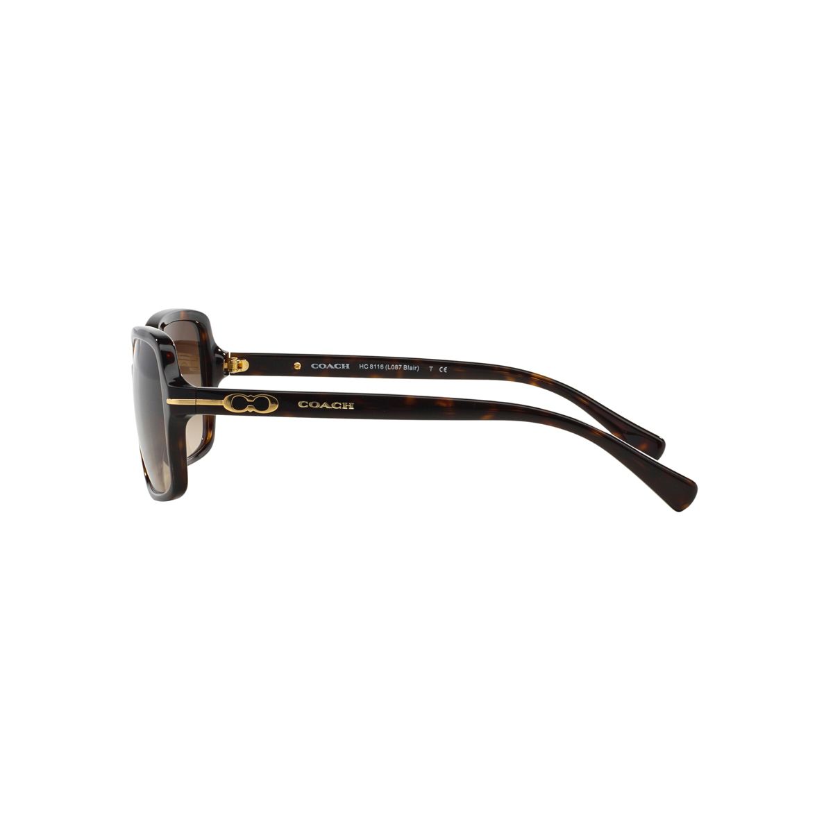 Coach HC8116 56mm Female Rectangle Sunglasses - thumbnail 3