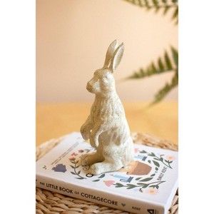 Cast Iron Standing Rabbit 7