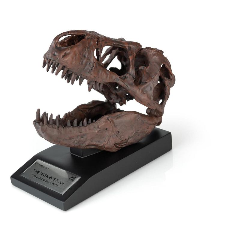 Master Replicas The Nation's T-Rex Skull Statue | 6-Inch Smithsonian Fossil Replica| 1:10 Scale, 2 of 8