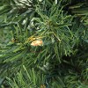 Northlight Pre-Lit Niagara Pine Medium Artificial Christmas Tree - 4' - Clear Lights - 2 of 4