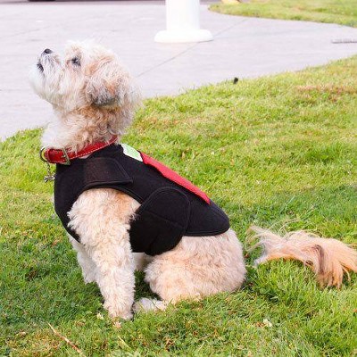 Healers Body Front Module Dog Wrap : Target