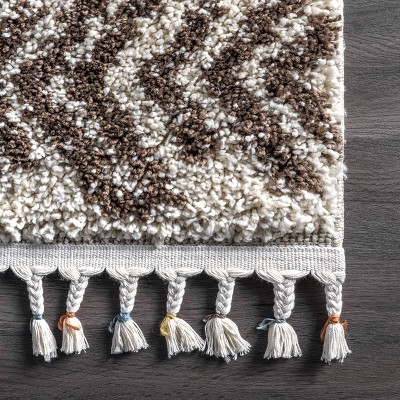 Brown and Off-White Braided Reversible Shag Area Rug 4' x 6'