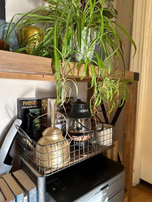 Guest review image 2 of 2, zoom in