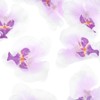 Unique Bargains Silk Plastic Durable Handcrafted Artificial Orchid Flower Heads 20 Pcs - 2 of 4
