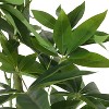 NicBex Artificial Tree 5.2FT Artificial Pachira Aquatica Pachira Macrocarpa Indoor with Natural Wood Trunk for Home, Foyer - 3 of 4