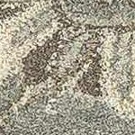 charcoal, taupe, black, tan, lightbeige