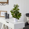 Nearly Natural 16-in Peperomia Artificial Plant in Decorative Planter - 3 of 4