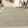 Modern Rug Non Slip Low Pile Rug Soft Contemporary Throw Floor Cover Foldable Indoor Carpet for Living Room Bedroom Playroom Nursery - 3 of 4