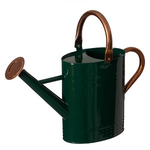Gardenised 1 Gallon Galvanized Metal Watering Can with Removable Long Spout & Sprinkler Head for Indoor & Outdoor Use - 1 of 4