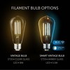 Globe Electric Dark Wood Toned Wall Sconce with Matte Brass Accents and Seeded Glass Shade - 4 of 4