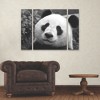Trademark Fine Art SD Smart Giant Panda 3 Piece Panel Set Art - 3 of 3