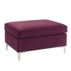 36" Jaszira Ottoman - Acme Furniture - image 2 of 4