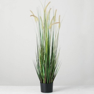 Sullivans Artificial Potted Dogtail Grass - 1 of 4