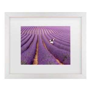 Trademark Fine Art - Massimo Della Latta Violet Matted Framed Art - 1 of 4