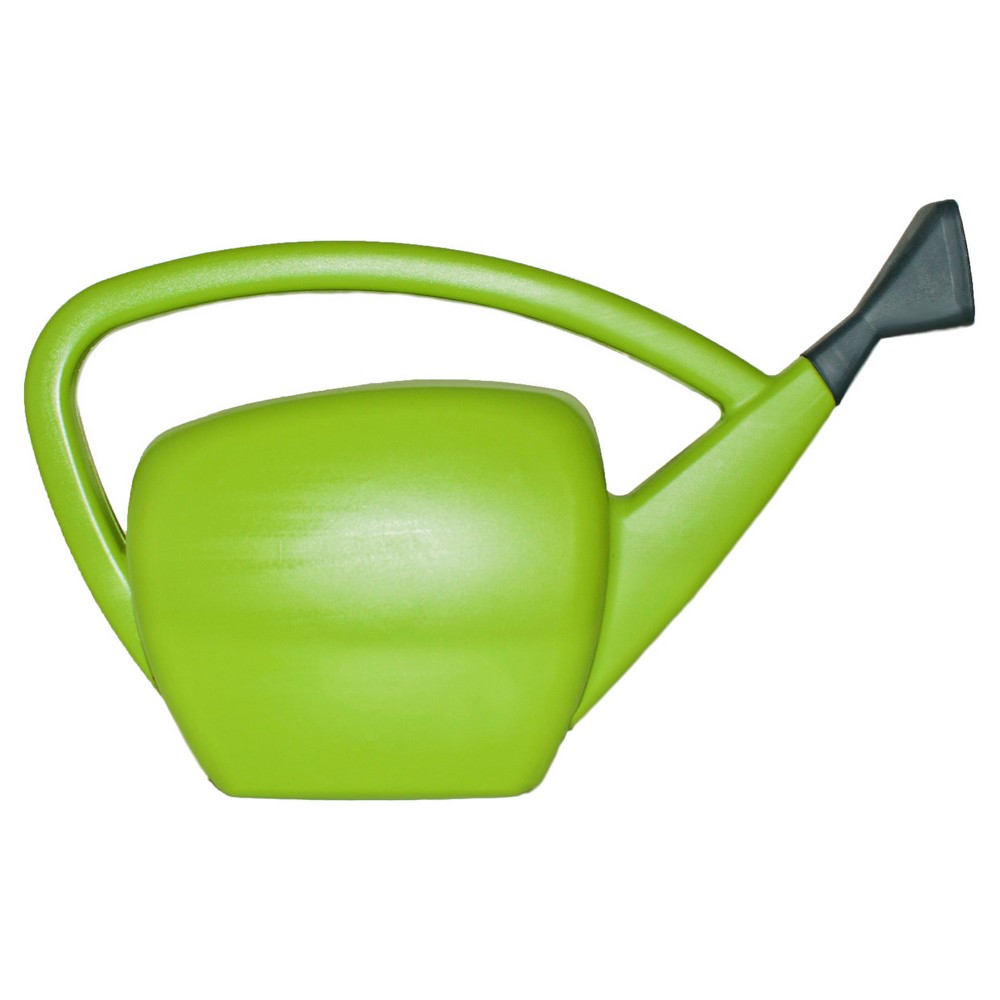 2gal Novelty Watering Can Green - Room Essentials was $8.0 now $4.0 (50.0% off)
