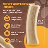 WhiteTail Naturals Split Elk Antler Dog Chews – 1 lb Bulk Pack, Marrow-Filled Natural Bones for Aggressive Chewers – Organic, Odorless, Made in USA - 3 of 4