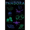 Men's Avatar The World of Pandora T-Shirt - 2 of 4