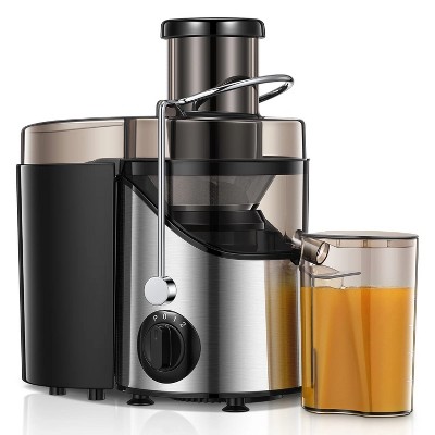LunaLulinlk Stainless Steel Juicer, Easy to Clean, 3 Speed Control, BPA Free, Silver