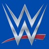 Boy's WWE Chrome Logo T-Shirt - 2 of 4