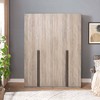 Manhattan Comfort Set of 2 Lee 2 Door and 2 Drawer Wardrobe Closets - 2 of 4