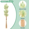 Unique Bargains Artificial Dried Flowers Realistic Look Pampas Bunny Tails Grass 17 Inch - 2 of 4