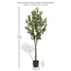 SKRAN 70.8''  Large Artificial Green Plant Bonsai Tree for Indoor & Outdoor Decor,for Easy Storage,UV-Resistant Artificial Tree for Garden,Patio - 3 of 4