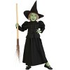HalloweenCostumes.com Toddler Wizard of Oz Wicked Witch Costume, Wicked Witch of the West Outfit for Movie Cosplay & Halloween - 4 of 4