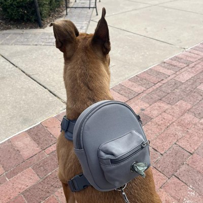 Backpack Dog Harness - S - Green - Boots & Barkley™ : Target