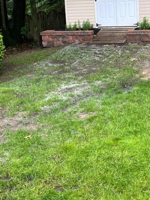 Guest review image 1 of 1, zoom in