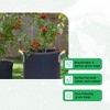 FCMP Outdoor 5 Gallon Modern Lightweight Non Woven Insulating Fabric Breathable Grow Bags for Indoor or Outdoor Gardening, Multicolor (5 Pack) - 2 of 4