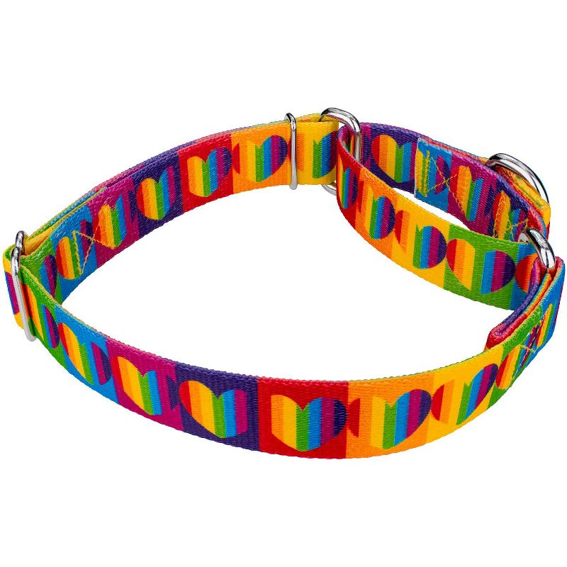 Country Brook Petz Rainbow Hearts Martingale Dog Collar, 5 of 7
