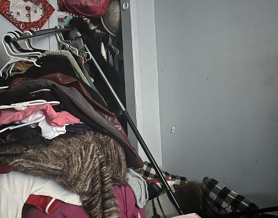 Guest review image 1 of 2, zoom in