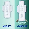 Always Pure Cotton Overnight Pads with Wings - Size 4 - 4 of 4