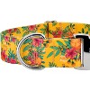 Country Brook Petz 1 1/2 Inch Premium Dog Collar - Summer Breeze Collection - 4 of 4