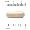 California Gold Nutrition EuroHerbs™, Ginkgo Biloba Extract, Euromed Quality, 120 mg, 60 Veggie Capsules - 3 of 3