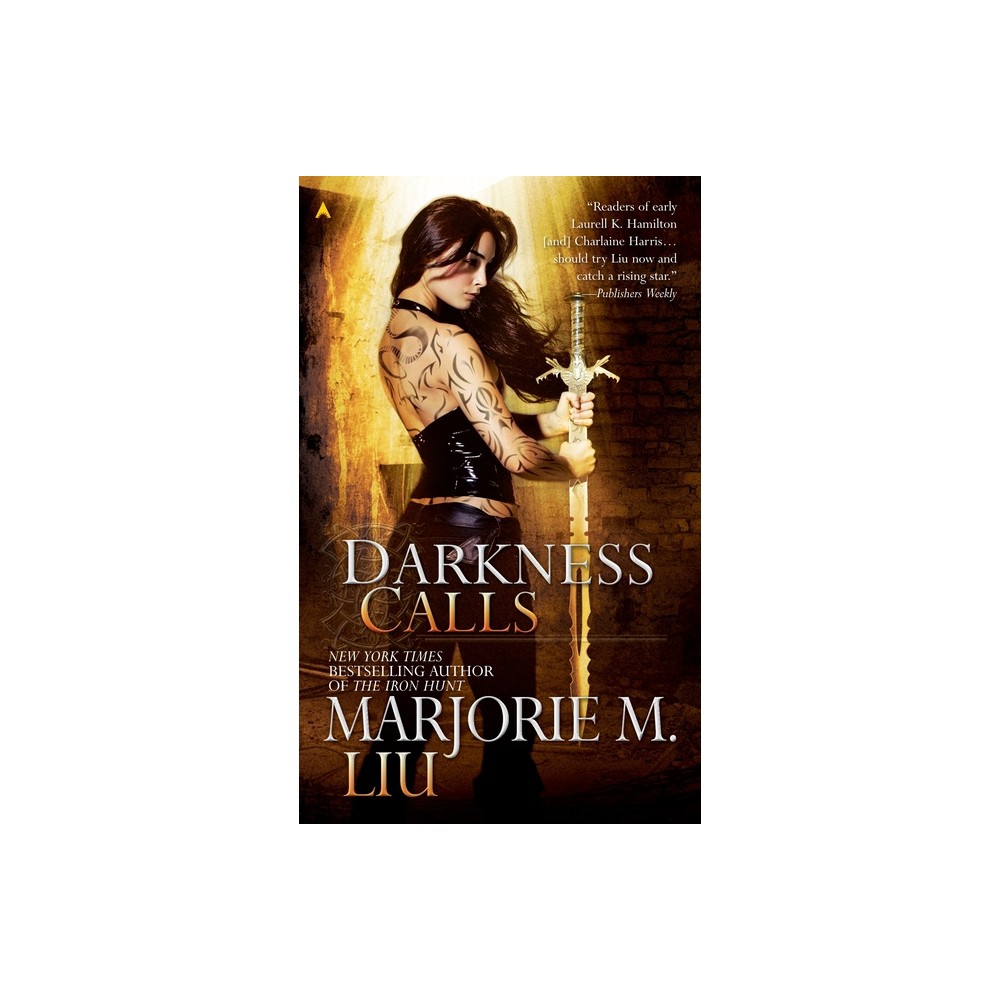 Darkness Calls - (Hunter Kiss Novel) by Marjorie M Liu (Paperback)