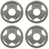 Kumasinova 2" Olympic Cast Iron Weight Plates,Gray Baked Enamel Finish Barbell Plates,Many Options - 2 of 4