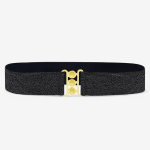 Anna-Kaci Wide Elastic Waist Belt with Gold Tone Clasp for Women - 1 of 4