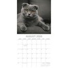 2026 Square Wall Calendar, Top Cats, 16-Month Animals Theme with 180 Reminder Stickers (12x12 In) - 3 of 4