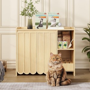 Cat Litter Box Enclosure, Hidden Litter Box Furniture with Removable Litter Collector - 1 of 4