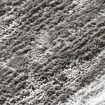 ivory, light gray, medium gray