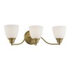 Livex Lighting Somerville 3 - Light Vanity in  Antique Brass - 4 of 4
