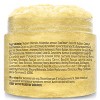 M3 Naturals Body Scrubs, Collagen + Stem Cell Infused, Himalayan, Arabica Coffee, Charcoal, Turmeric, Brown Sugar, Kombucha Body Scrubs - 3 of 4