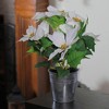 Northlight 15.5" White and Green Artificial Poinsettia Flower Arrangement in Pot - 2 of 2