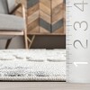 Nuloom Unity High-Low Snowflake Tasseled Indoor Area Rug, 4' x 6', Light Grey - 3 of 4
