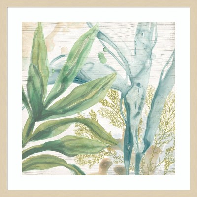 Quiet Coastal Collage II Abstract Botanical Framed Wall Art