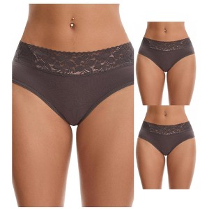 INSPIRE CHIC Women's Lace Mid Waisted Soft Breathable Briefs Underwear 3 Packs - 1 of 4