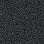 washington state cougars